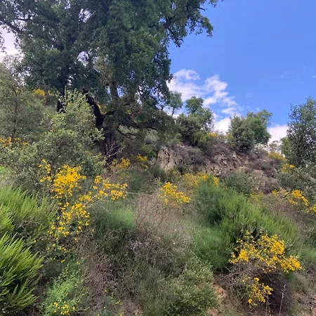 Maimes Vakantiehuis Agullana